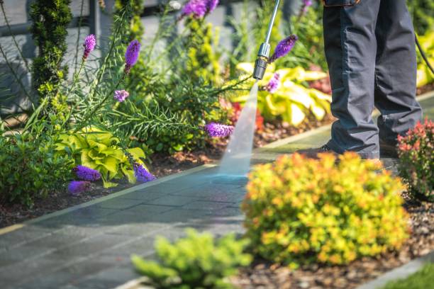 Best Pre-Holiday Cleaning  in Oak Harbor, OH