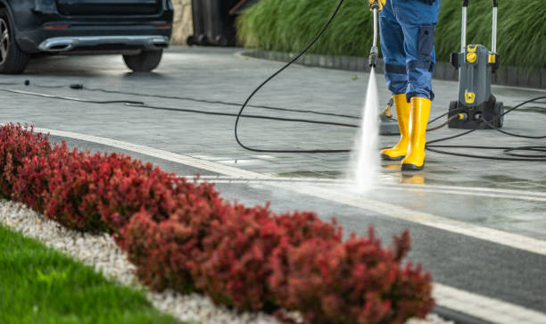 Best Animal Enclosure Cleaning  in Oak Harbor, OH